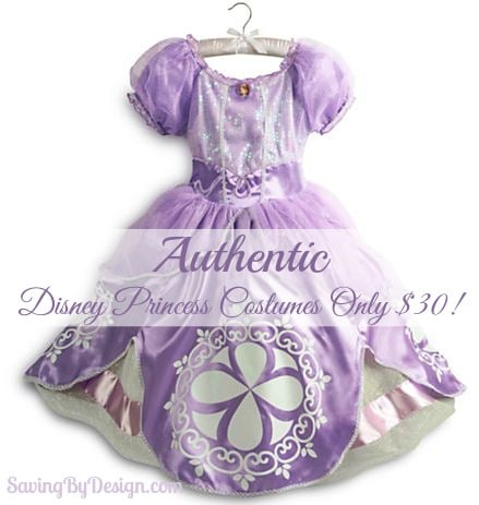 authentic Disney princess costume deal