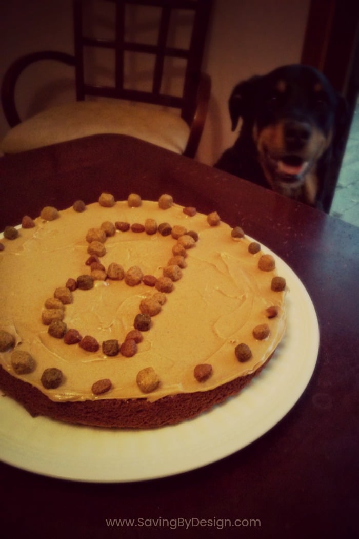 Ingredients for hotsell a dog cake