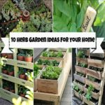 Here are some awesome herb garden ideas that will look wonderful in any space around your home...you're sure to find something you love here!