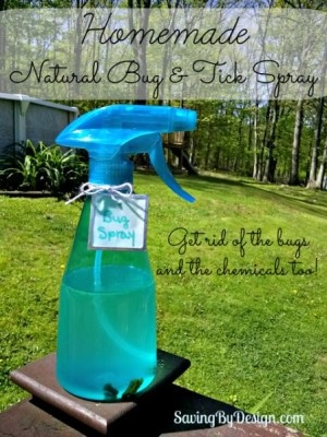 I try to use as few unnecessary chemicals as possible, so I came up with this wonderful homemade natural bug repellent. It works and smells great too!