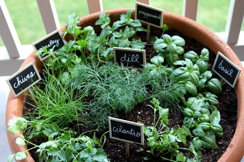 Here are some awesome herb garden ideas that will look wonderful in any space around your home...you're sure to find something you love here!