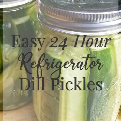 dill pickle recipe - refrigerator dill pickles