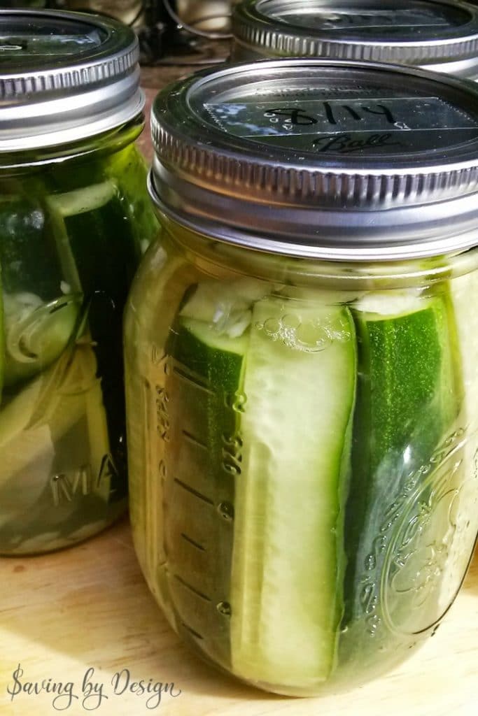 dill pickle recipe