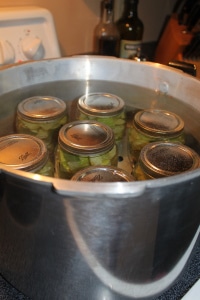 Awesome Canning Recipes and Ideas