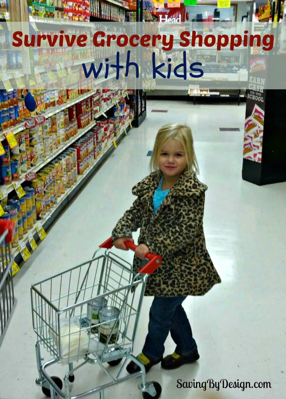 Survive Grocery Shopping with Kids