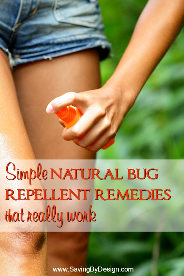 Ditch the stinky and expensive chemicals! Check out these simple natural bug repellent remedies...from homemade sprays to herbs and plants. Bye bye bugs!