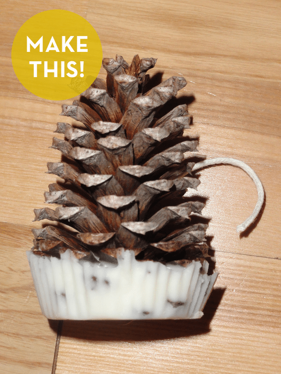 Pine Cone Craft Ideas for Festive Fall Decorating