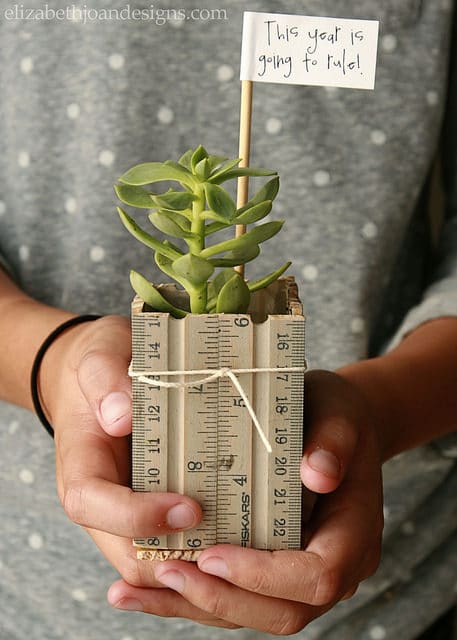 teacher gift - ruler succulent planter