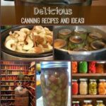 I love to plan out canning recipes and ideas so we can enjoy homegrown food all year long! Here are some awesome canning recipes, storage ideas, and other spectacular tricks.