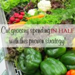 Imagine your grocery shopping being organized, healthy, and under budget. If you are looking for a way to quickly cut grocery spending in half, you’re going to love this!