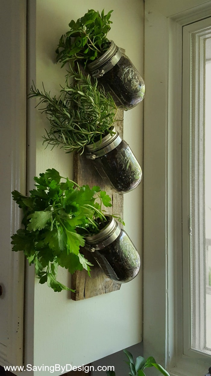 Wall Herb Garden