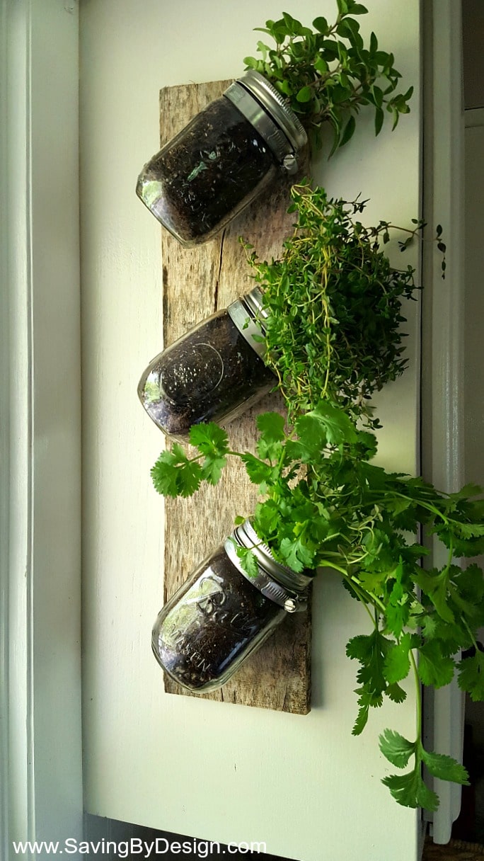 Wall Herb Garden