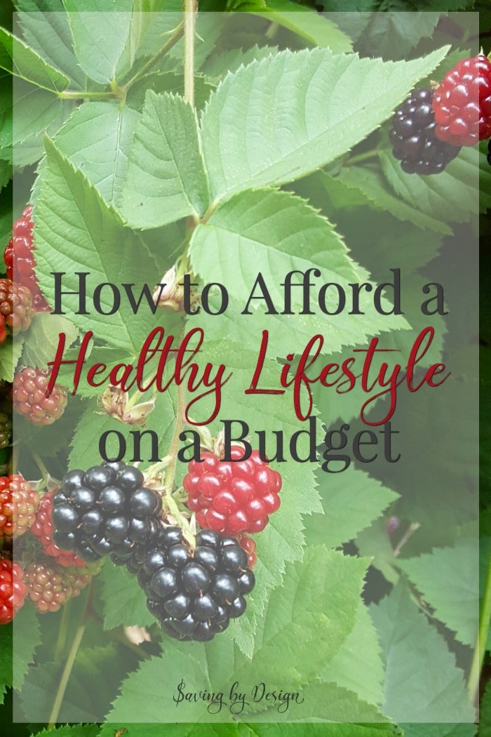 how to live a healthy lifestyle on a budget