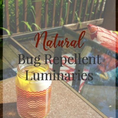 natural bug repellent