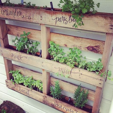 Wall Herb Garden