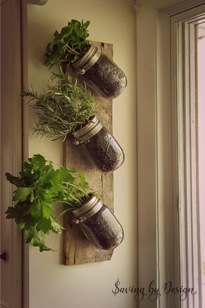 Mason Jar Wall Decor - herb garden